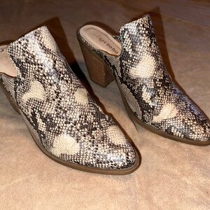 Women's Snakeskin Block Heel Mules